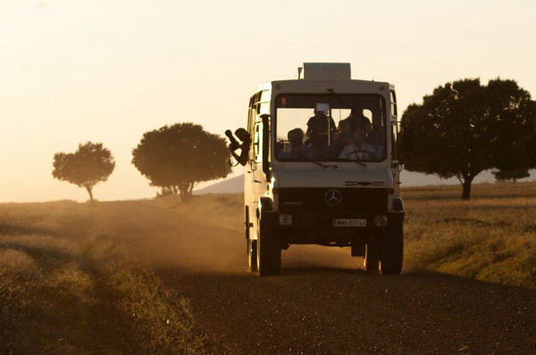 Audioführung Cabañeros 4x4