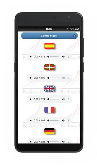 Audioguide AG95: Audiodateien in mehreren  Sprachen möglich 