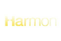 Gruppenführungssystem - HARMON CORPORATE AFFAIRS