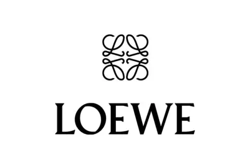 Loewe Gruppenführungssystem