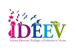 Audioguide IDEEV