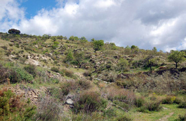 Audioführung Cabañeros unter mount