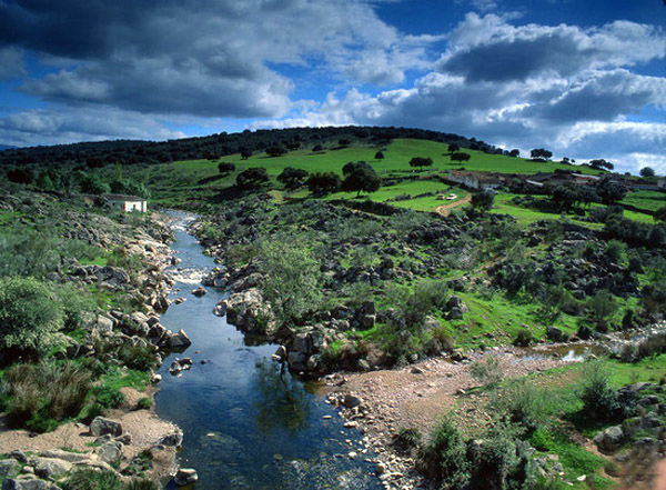 montestoledoAudioführung Cabañeros Toledo gebirge