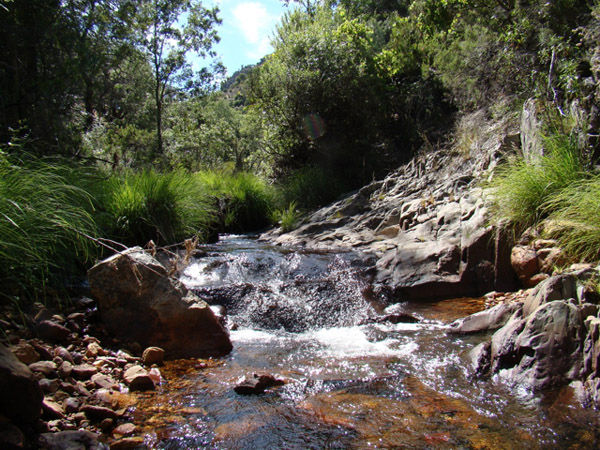 Audioführung Cabañeros fluss Estena