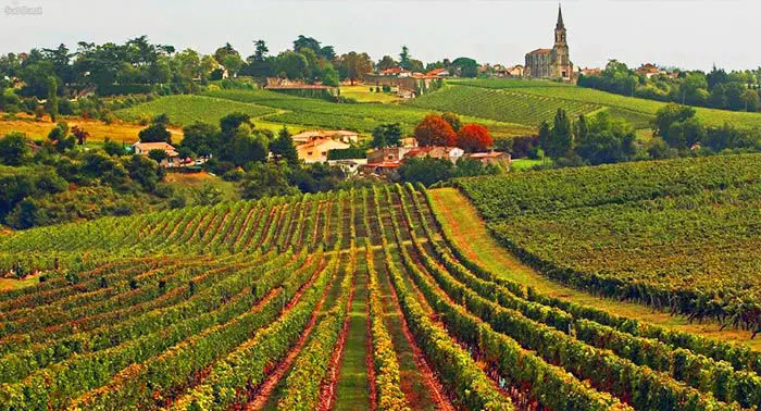 Audioguide de Bordeaux - Vignobles bordelais