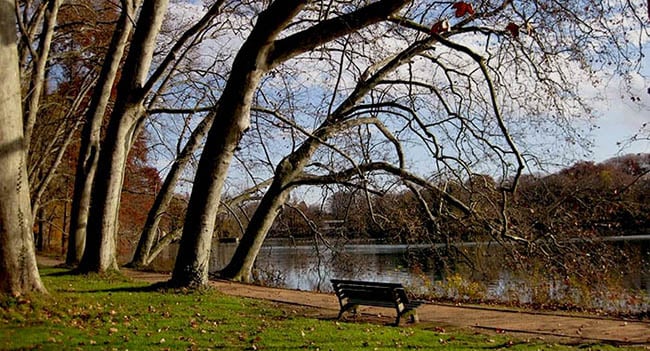 Audio guide Lyon -  Park der Goldenen Kopf